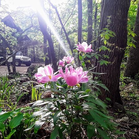 Cherokee Mountain Log Cabins Eureka Springs Luaran gambar