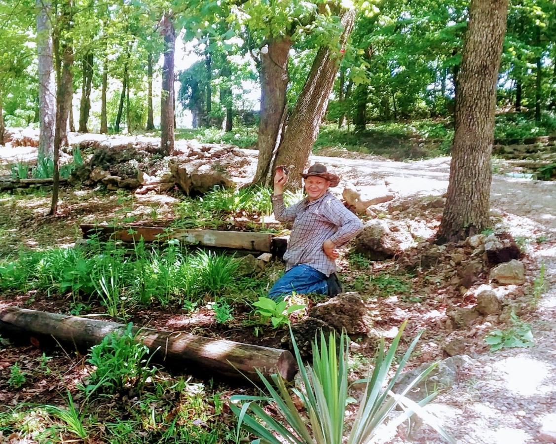 Cherokee Mountain Log Cabins Eureka Springs Luaran gambar