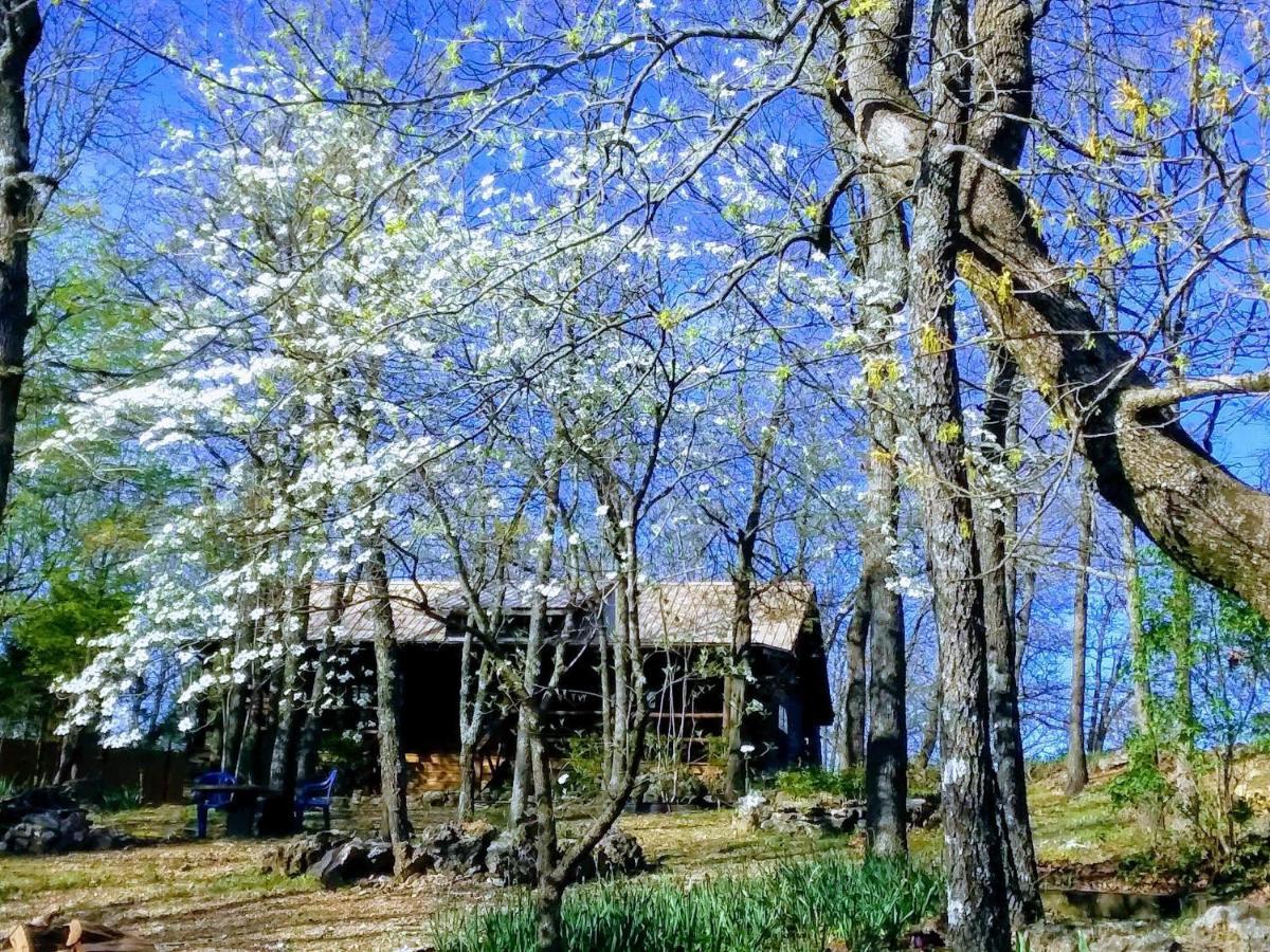 Cherokee Mountain Log Cabins Eureka Springs Luaran gambar